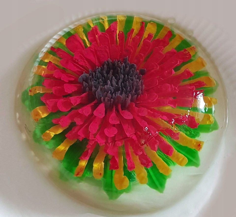 Tadar gelatine 3D Spuit met 10 Decoratie Tips voor Taarten