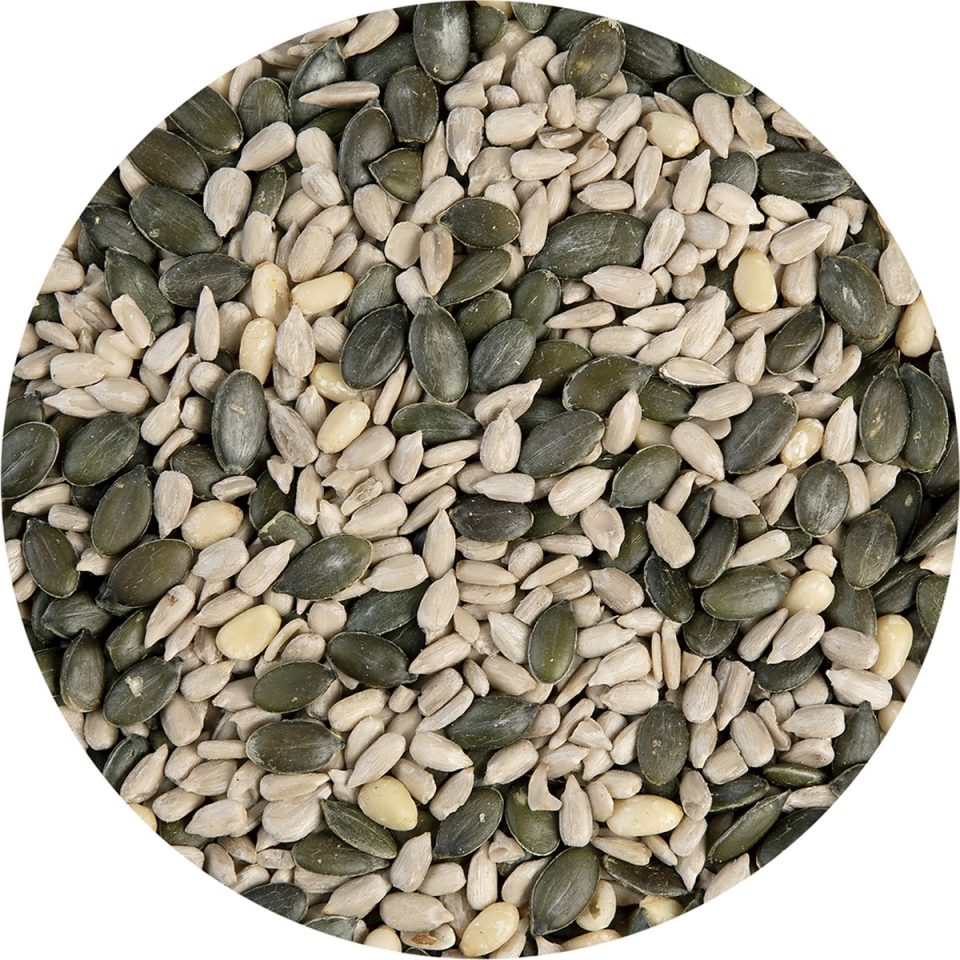 Brand New Cake Pittenmix 230 g