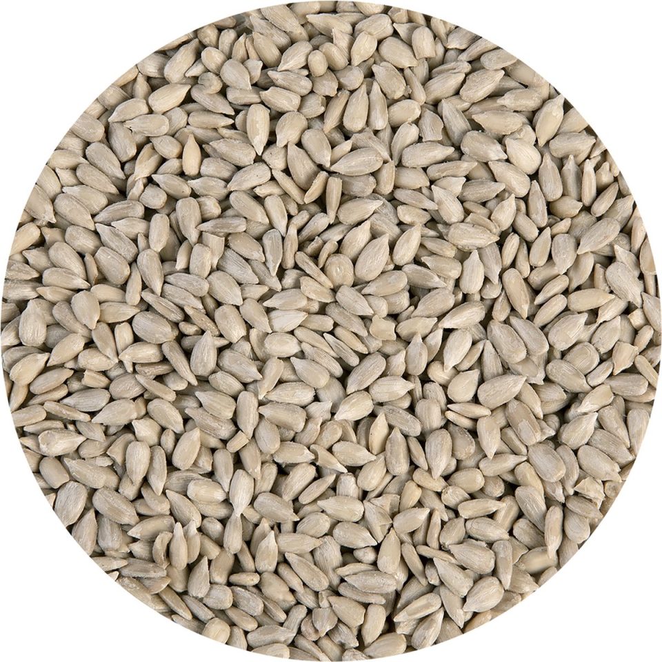 Brand New Cake Zonnebloempitten 250 g