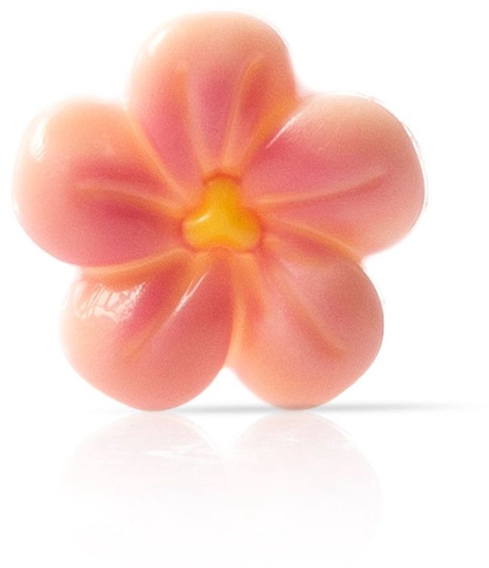 Brand New Cake Chocoladedecoratie Perzik Bloesem (18 stuks)