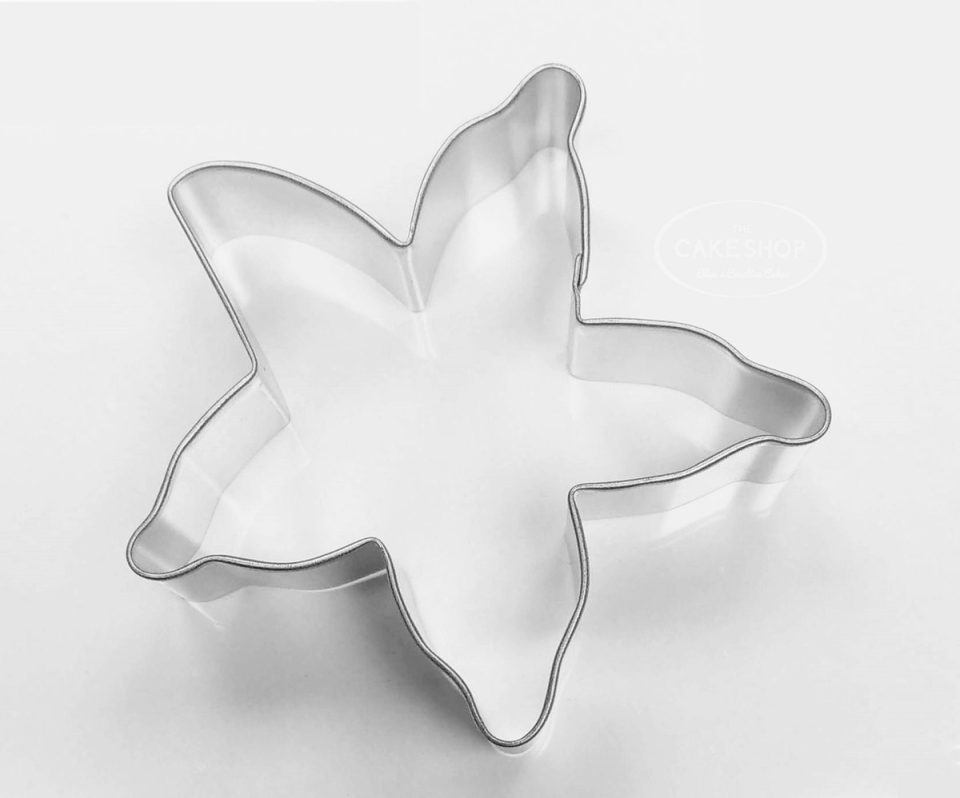 RM uitsteker Zeester Koekjes Metaal, hoogte 10 cm 2,5 cm